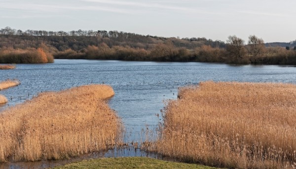 things to do in nottingham attenboroguh nature reserve