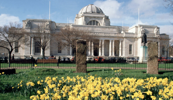 National museum cardiff building with yellow daffodils in the front
