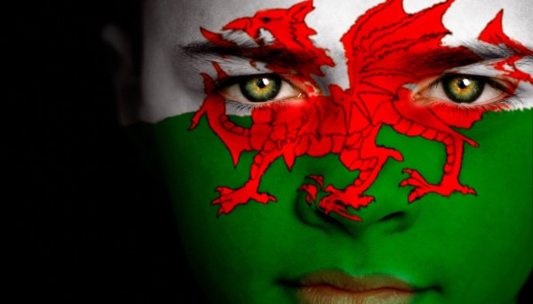 person with the wales flag painted on their face