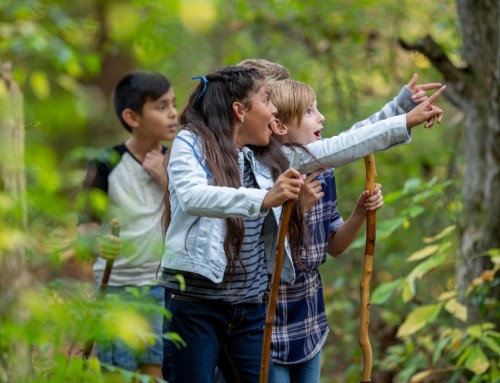 Learning Beyond the Classroom: Field Trips and Excursions