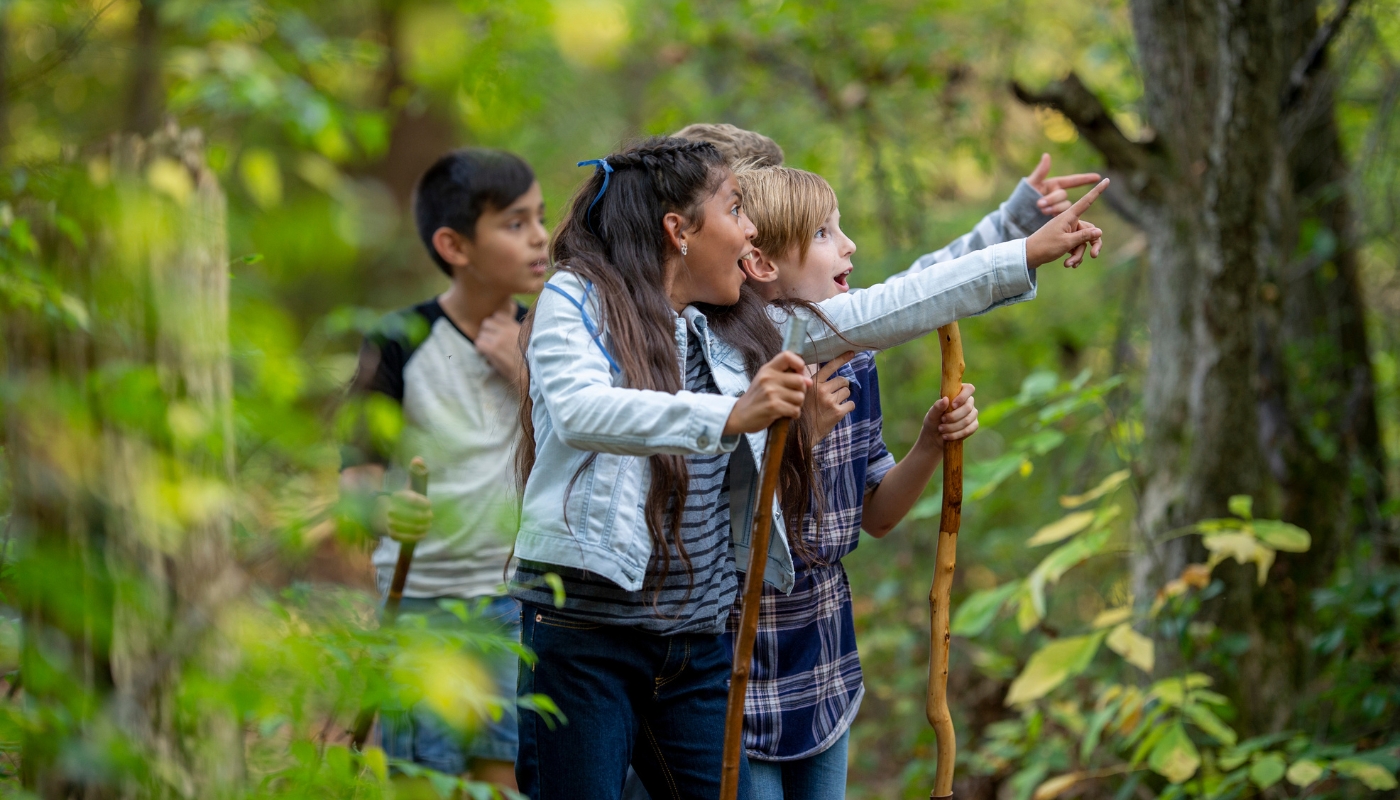 kids having an adventure in the forest as they are learning beyond the classroom
