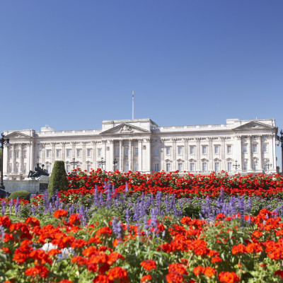 buckingham palace