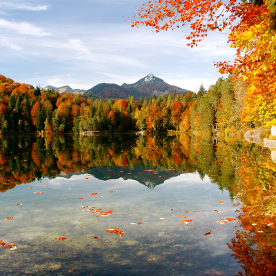 the lake district in autumn